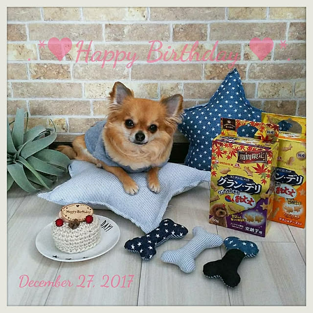 kojikojiさんの実例写真