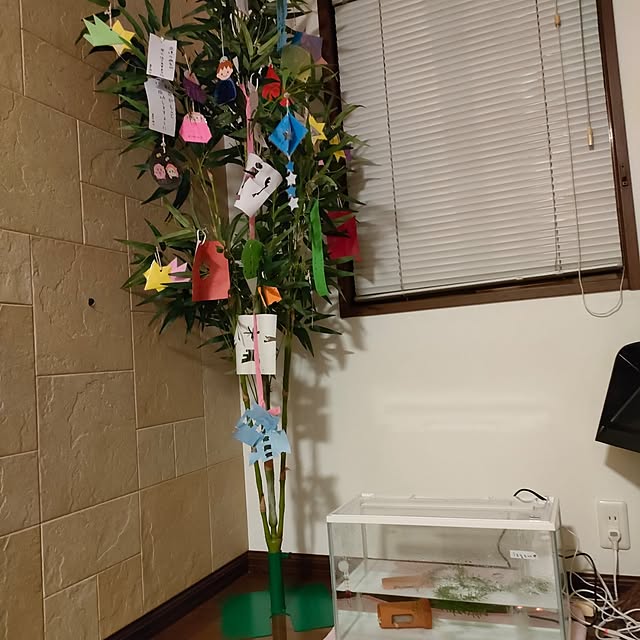 momomamaさんの実例写真
