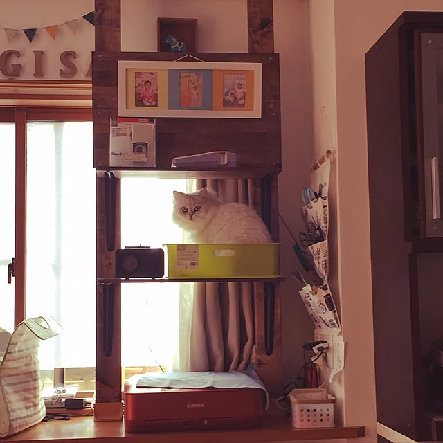 muiさんの実例写真