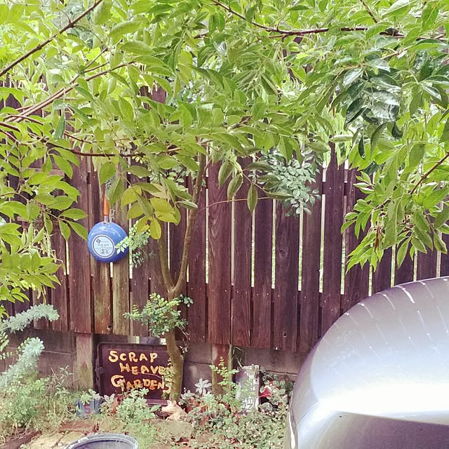 44039ponさんの実例写真
