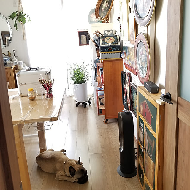 renrenさんの実例写真