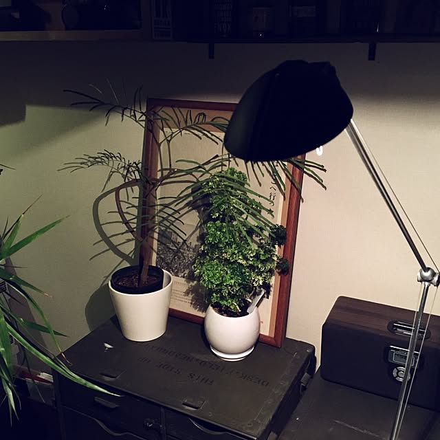 emjahさんの実例写真