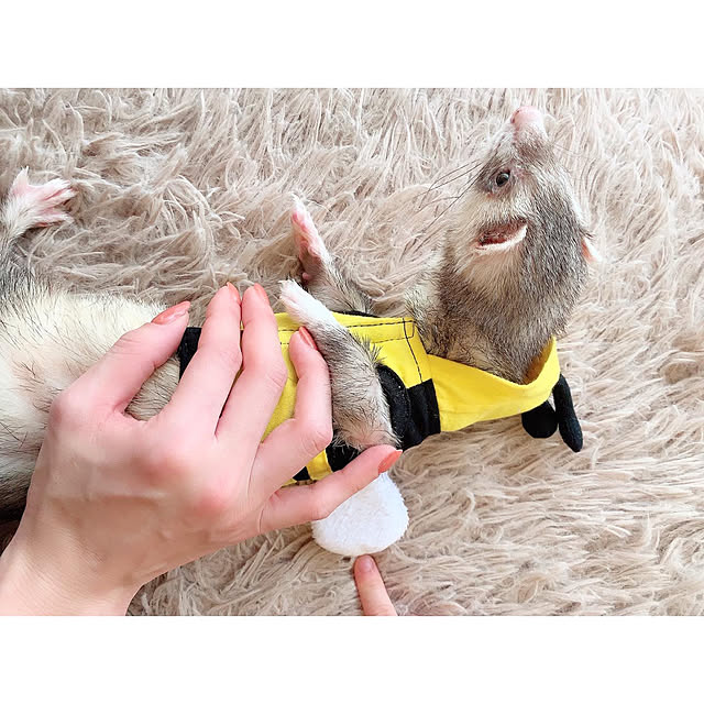 chaluさんの実例写真