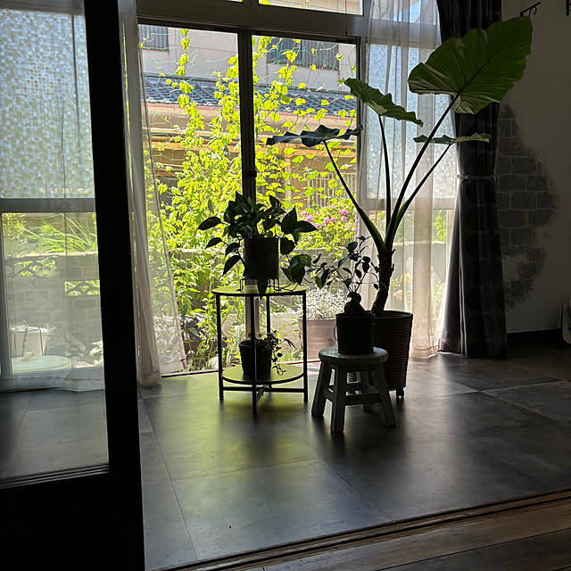 Mikazukiさんの部屋