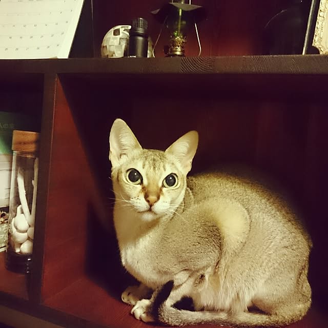 Jcさんの実例写真