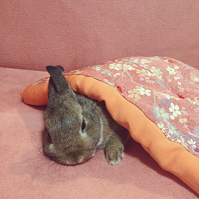 yuzu0223さんの実例写真