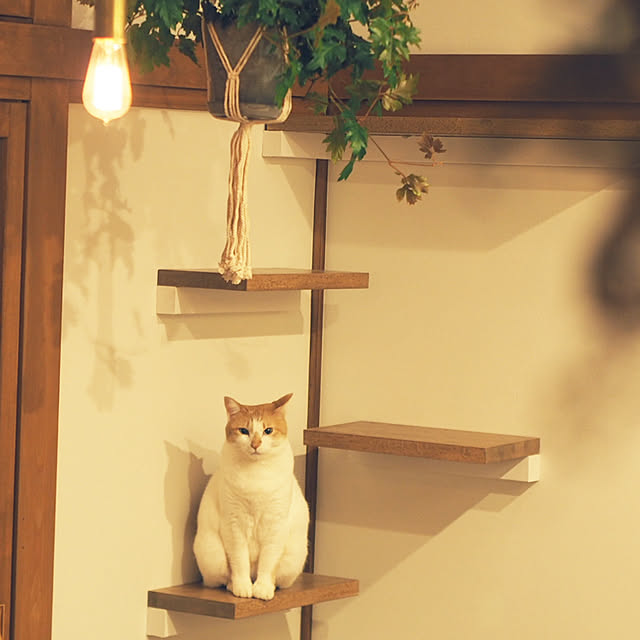 Kozueさんの実例写真