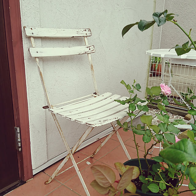 kiyosukeさんの実例写真