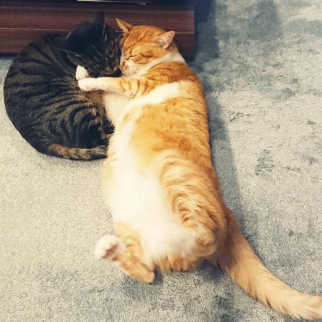 taka-kiさんの実例写真
