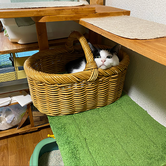SHIHOさんの実例写真