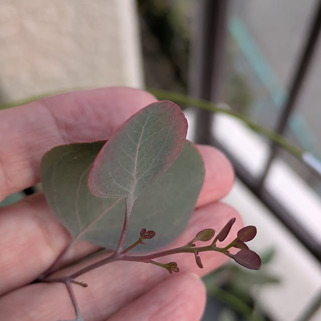 mi-saさんの部屋