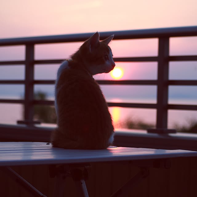 noraさんの実例写真