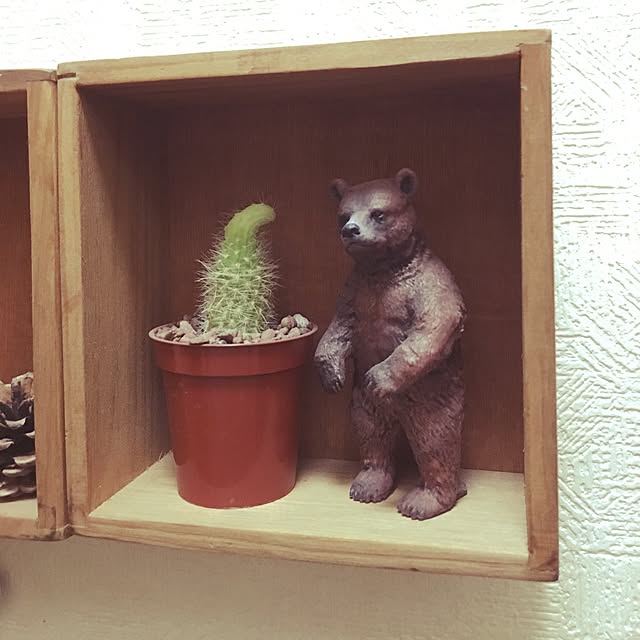 shiroさんの実例写真