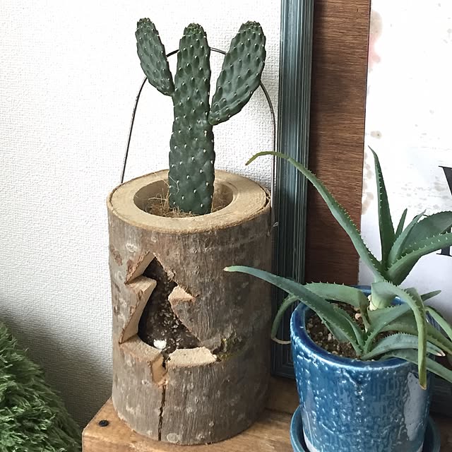 NONCHIさんの実例写真
