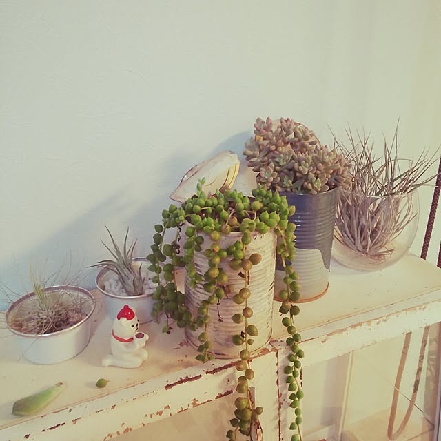 棚/植物/雑貨のインテリア実例 - 2014-07-19 20:11:07