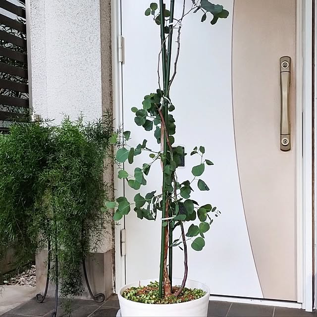 jinさんの部屋