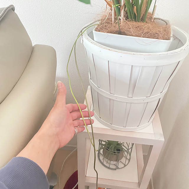akiko-ovさんの部屋
