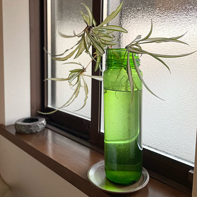 buchiさんの実例写真