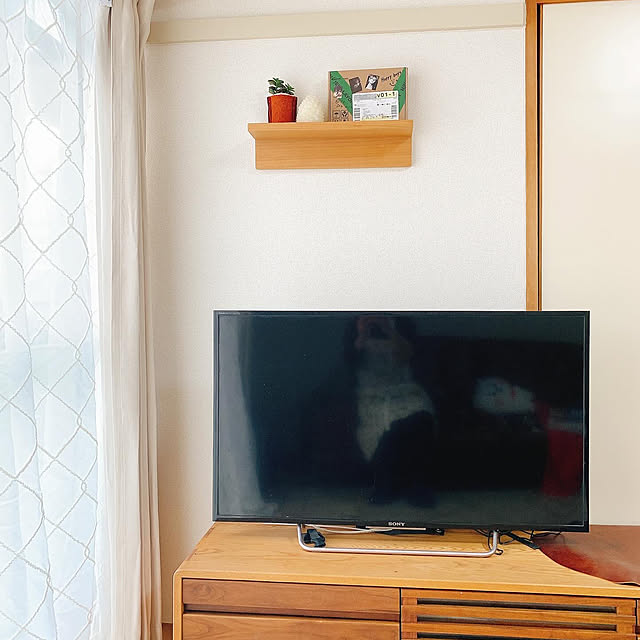 実例写真