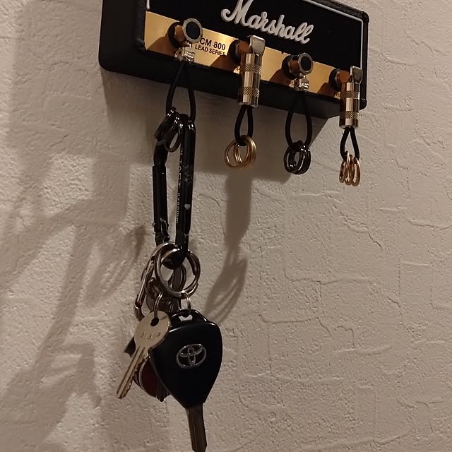 mercuryさんの部屋