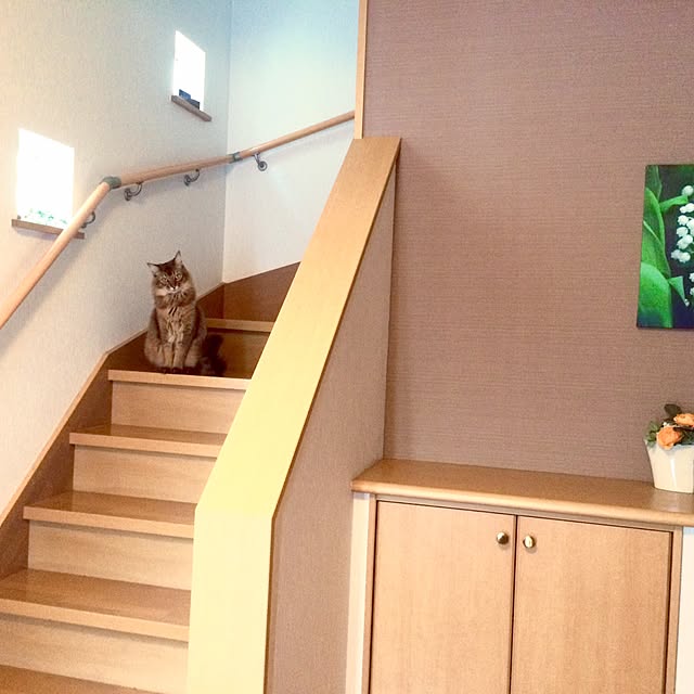 Yumiさんの実例写真