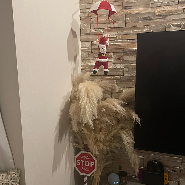 rakkoさんの実例写真