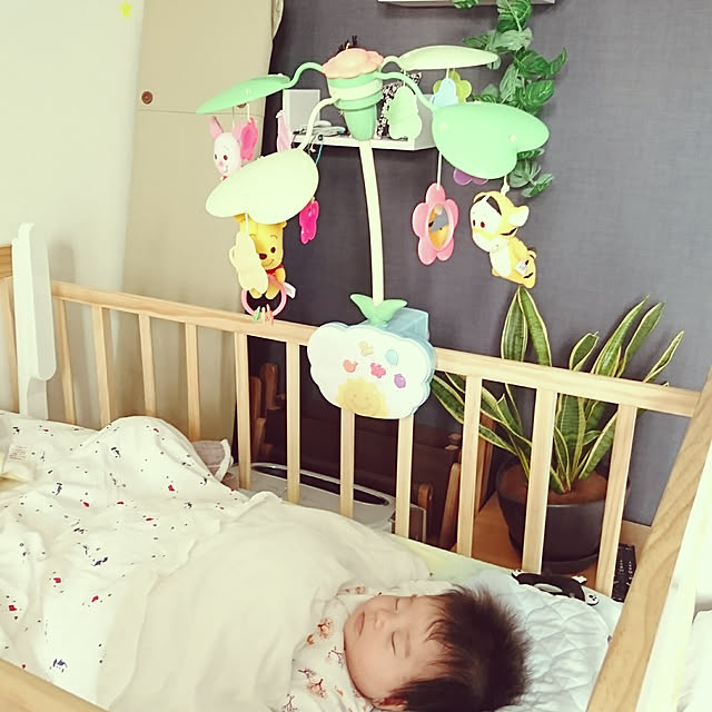 naphooさんの実例写真