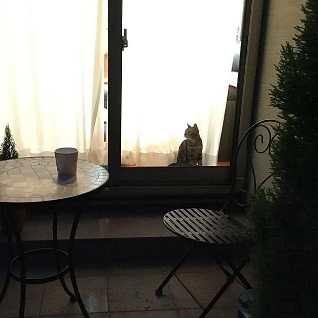 wiredさんの実例写真