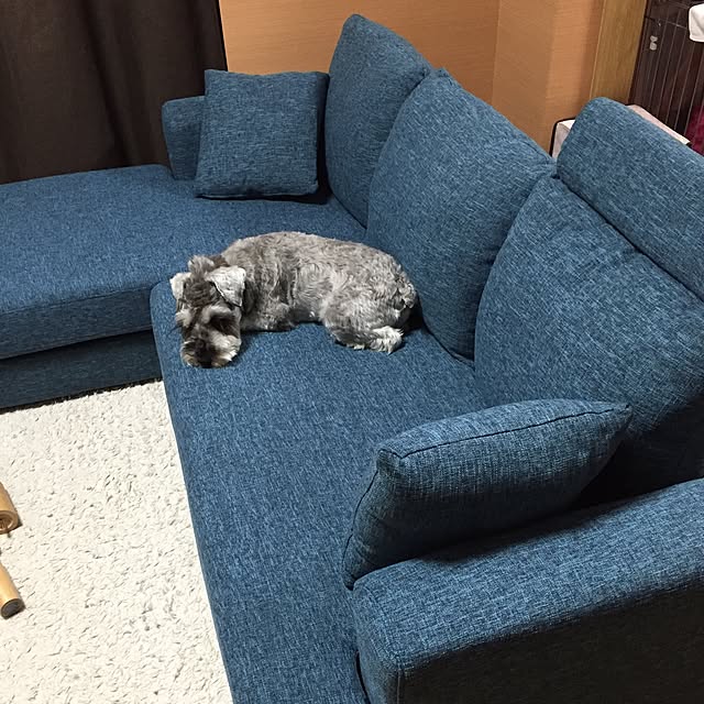 yl0403rjmさんの実例写真