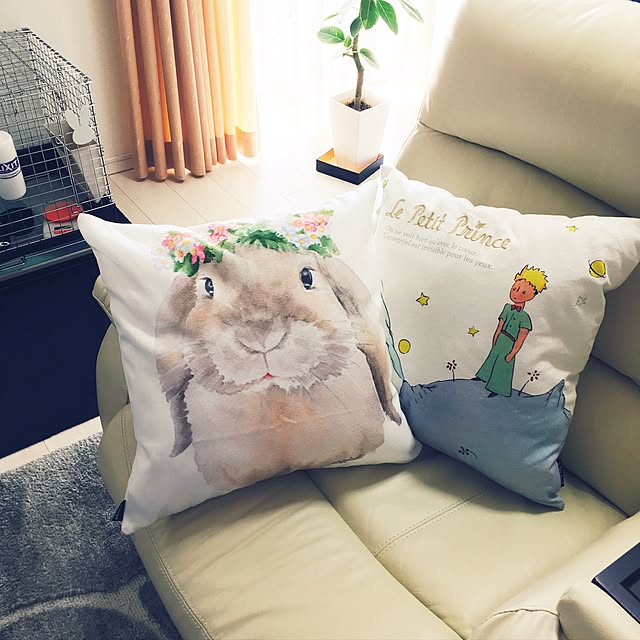 museさんの実例写真