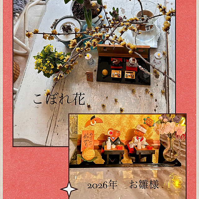 akaidarumaさんの実例写真