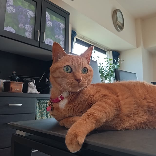 NOAHさんの部屋