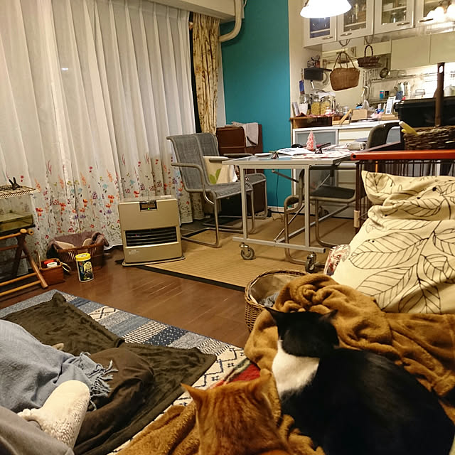 okyosan101さんの実例写真