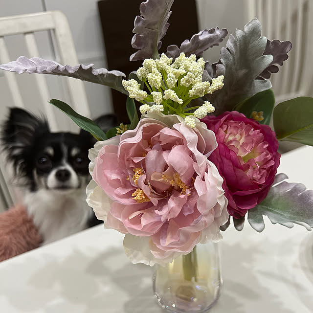 mi__.s___さんの実例写真