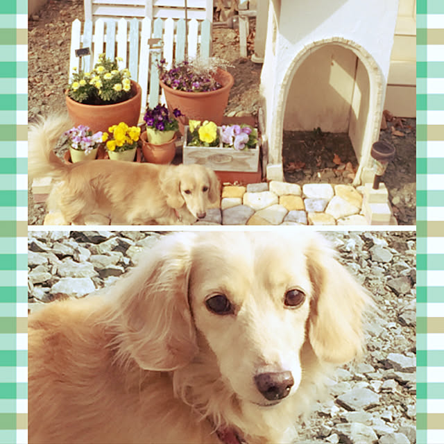 yuumyさんの実例写真