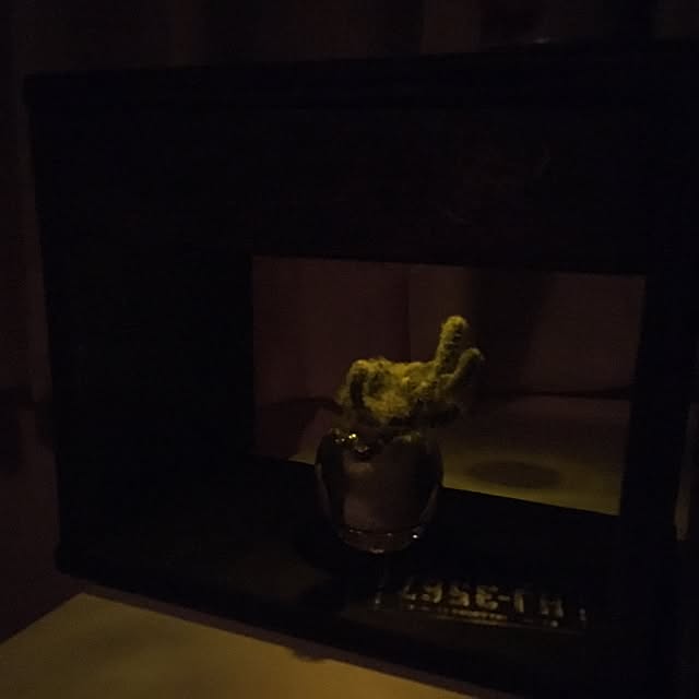 moguzooさんの実例写真