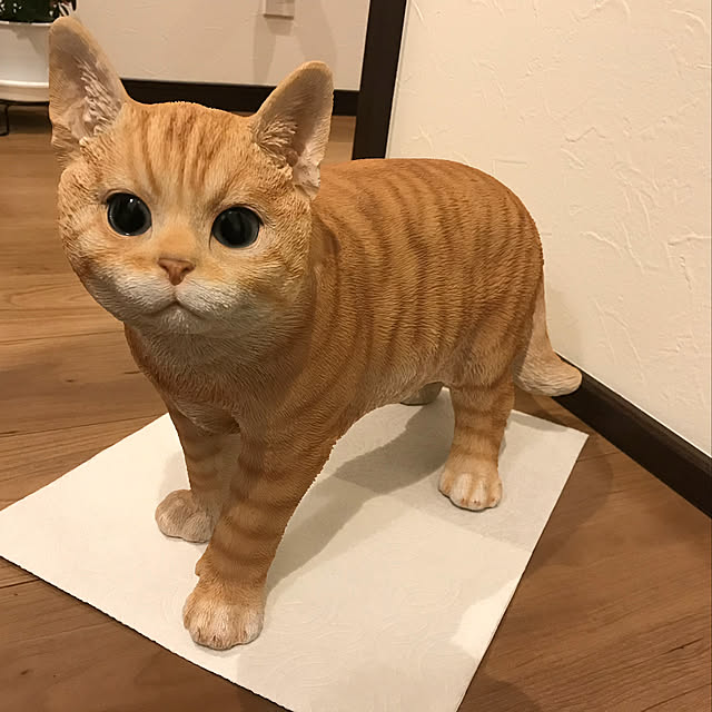 philosophiearbre_akiさんの実例写真