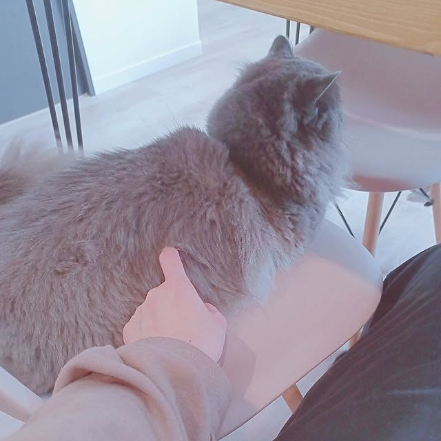 milk-teaさんの実例写真