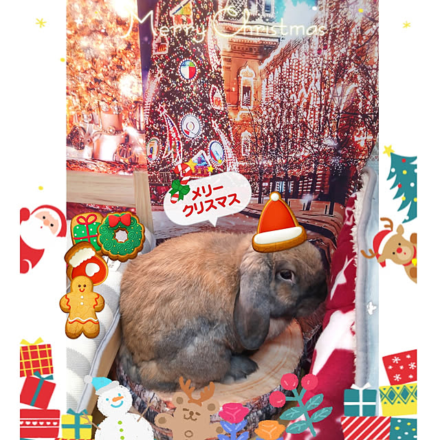 mariaさんの実例写真