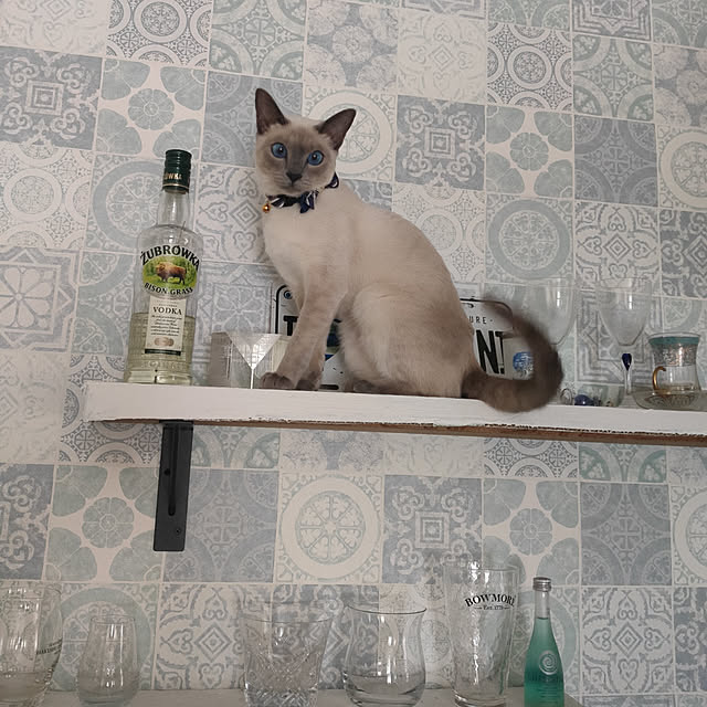 hitsujiさんの実例写真