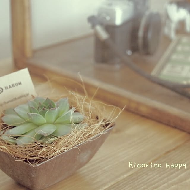 rico-mamaさんの実例写真