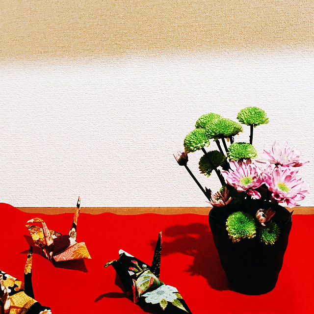 tama1201さんの実例写真