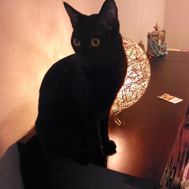 akarichanさんの実例写真