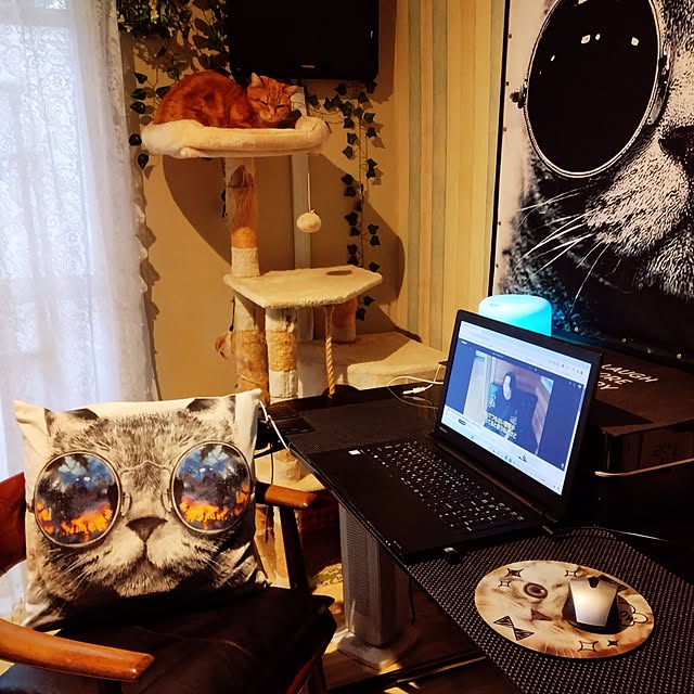 runaさんの部屋
