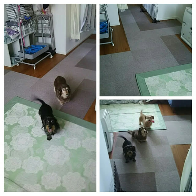 chocococoaさんの実例写真