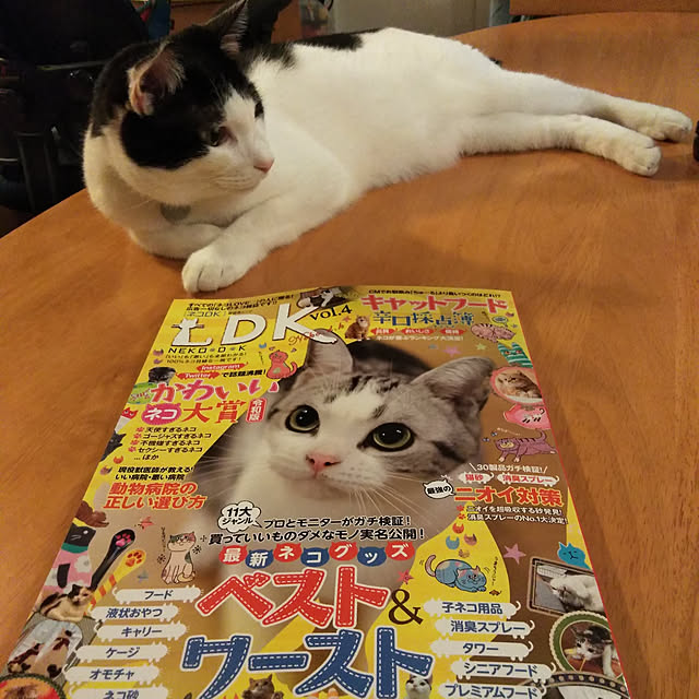 futukoさんの実例写真