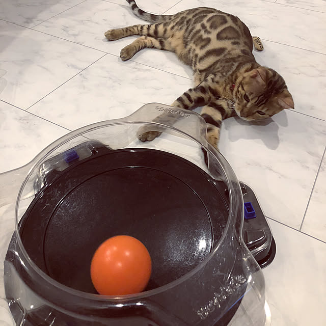 iranさんの実例写真