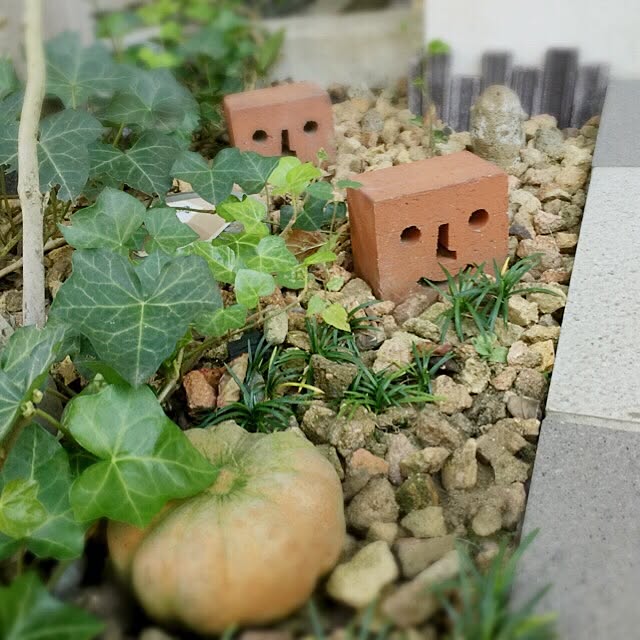 kogumamauさんの実例写真