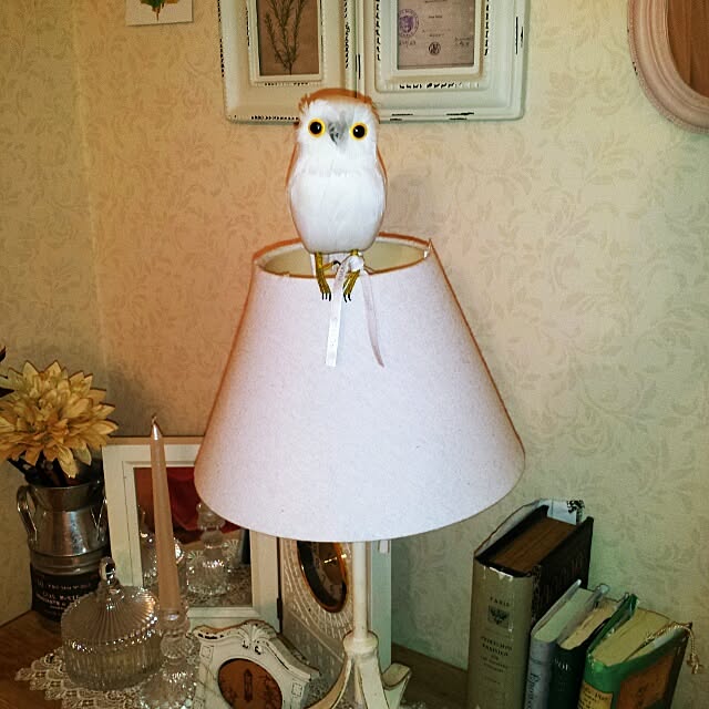 cottonさんの実例写真