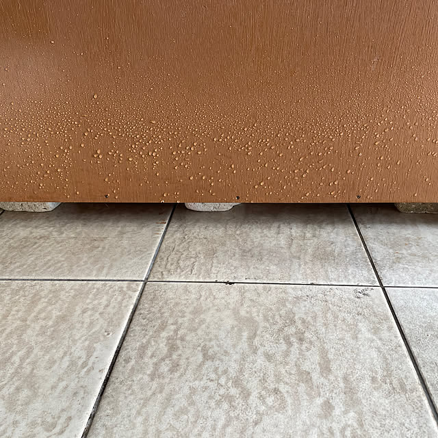 coolcats0528さんの部屋